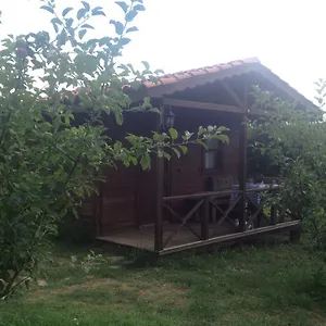 buradan rezervasyon yapın